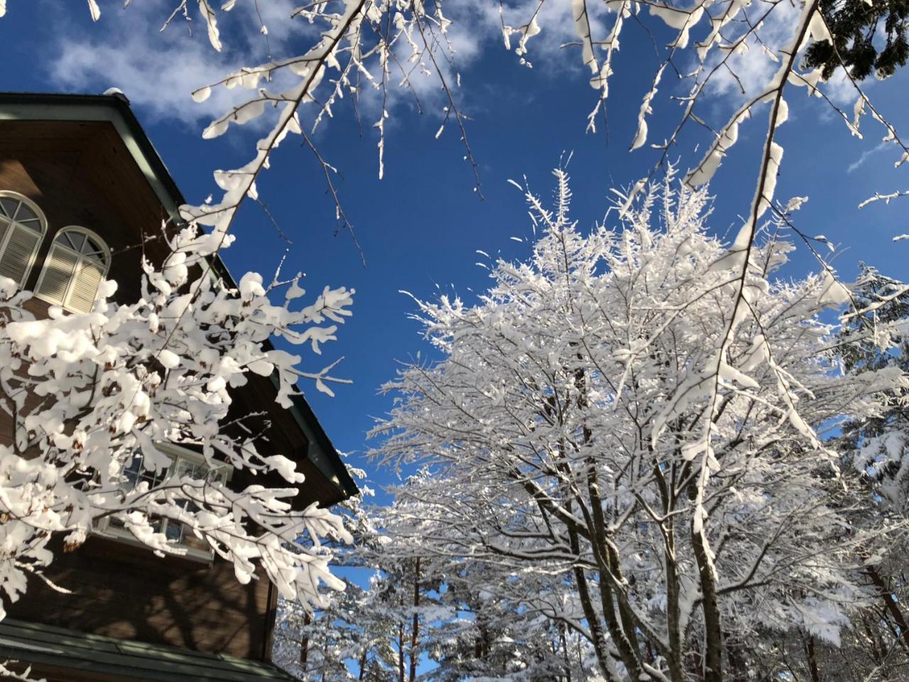 Pension Razteca Hakuba Exterior foto